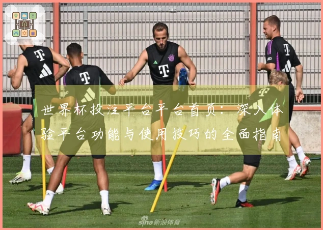 世界杯投注平台平台首页：深入体验平台功能与使用技巧的全面指南