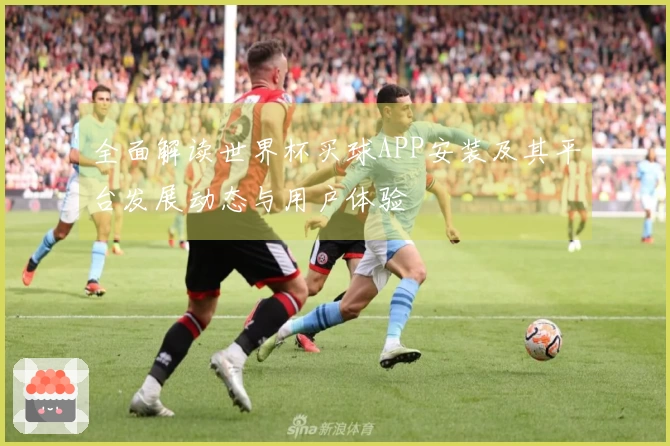 全面解读世界杯买球APP安装及其平台发展动态与用户体验