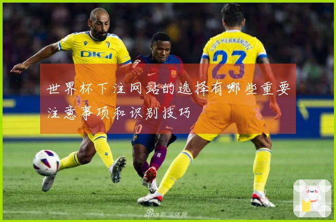 世界杯下注网站的选择有哪些重要注意事项和识别技巧