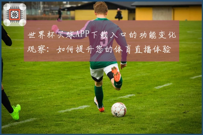 世界杯买球APP下载入口的功能变化观察：如何提升您的体育直播体验