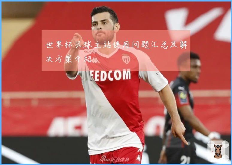 世界杯买球主站使用问题汇总及解决方案介绍