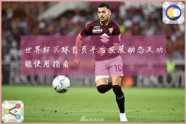 世界杯买球首页平台发展动态及功能使用指南