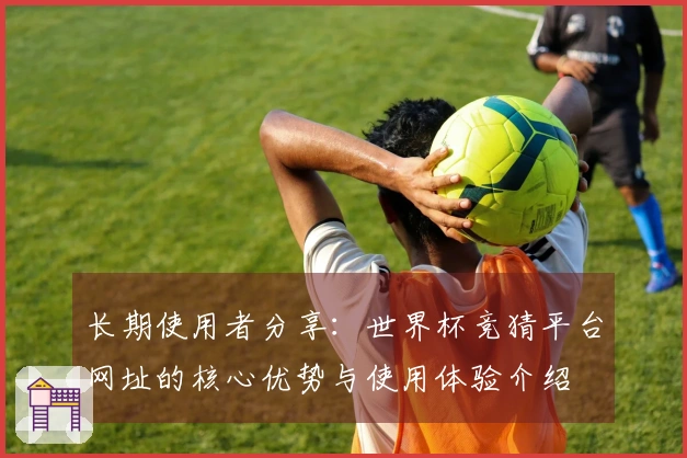 长期使用者分享：世界杯竞猜平台网址的核心优势与使用体验介绍