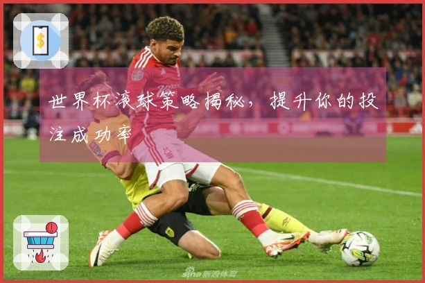 世界杯滚球策略揭秘，提升你的投注成功率