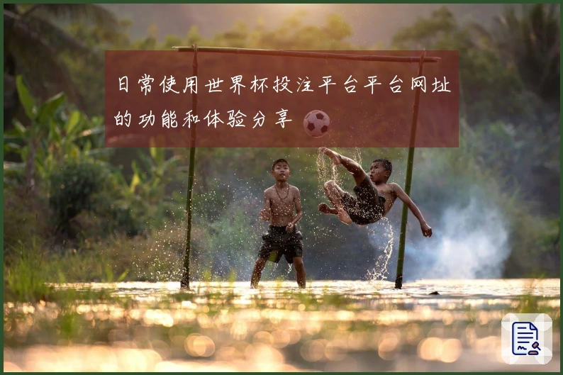日常使用世界杯投注平台平台网址的功能和体验分享