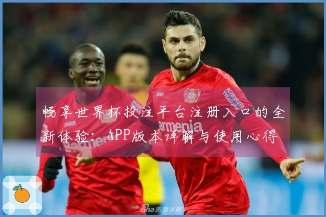 畅享世界杯投注平台注册入口的全新体验：APP版本详解与使用心得