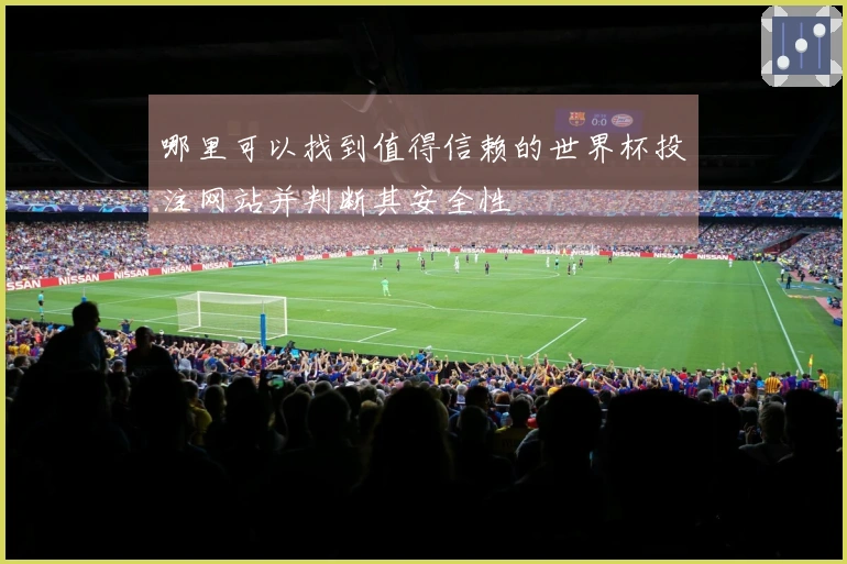 哪里可以找到值得信赖的世界杯投注网站并判断其安全性