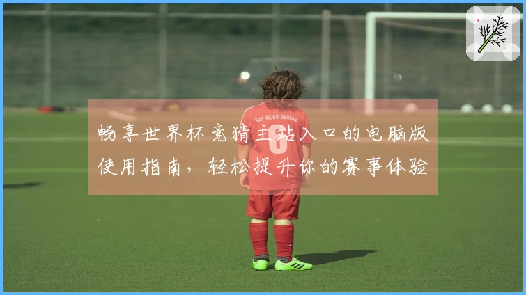 畅享世界杯竞猜主站入口的电脑版使用指南,轻松提升你的赛事体验