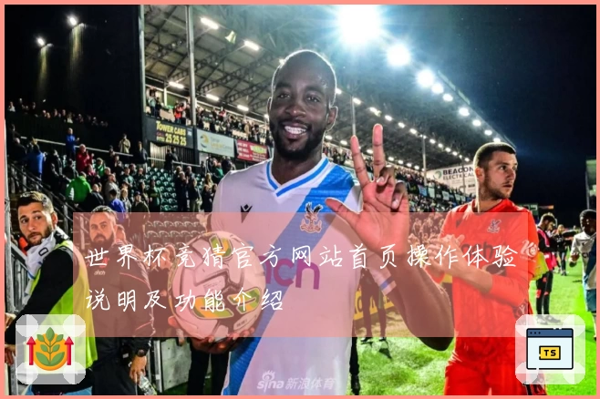 世界杯竞猜官方网站首页操作体验说明及功能介绍