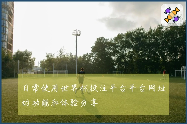 日常使用世界杯投注平台平台网址的功能和体验分享