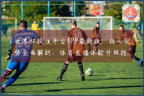 世界杯投注平台APP最新版：核心优势全面解析，体育直播体验升级指南