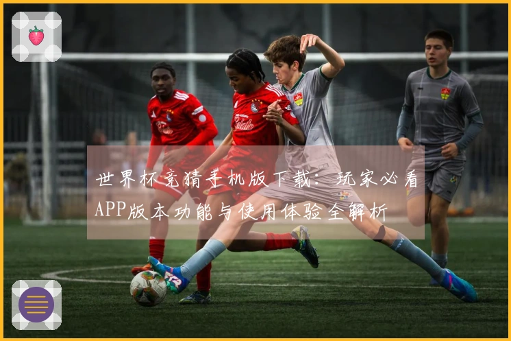 世界杯竞猜手机版下载：玩家必看APP版本功能与使用体验全解析