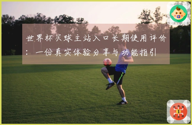 世界杯买球主站入口长期使用评价：一份真实体验分享与功能指引