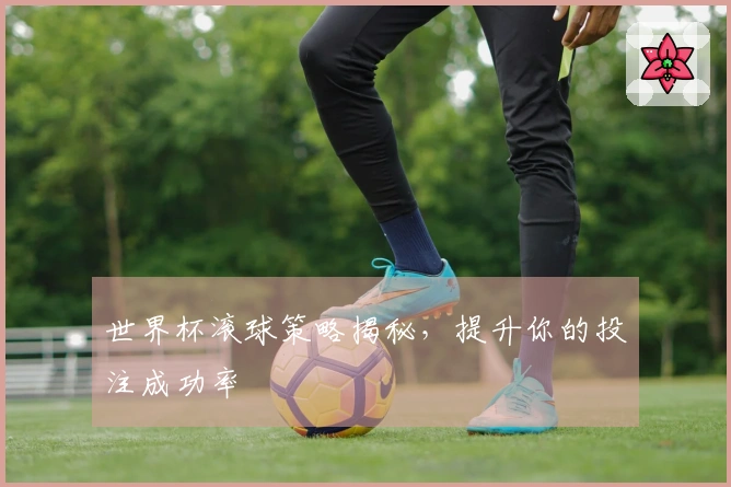 世界杯滚球策略揭秘，提升你的投注成功率