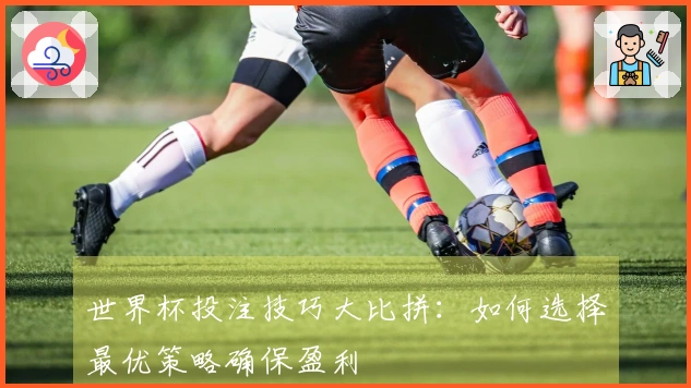 世界杯投注技巧大比拼：如何选择最优策略确保盈利