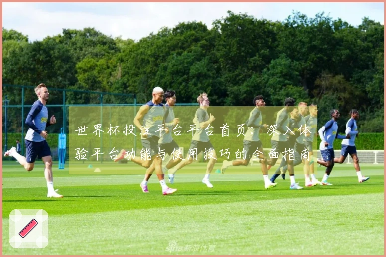 世界杯投注平台平台首页：深入体验平台功能与使用技巧的全面指南