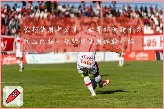 长期使用者分享：世界杯竞猜平台网址的核心优势与使用体验介绍