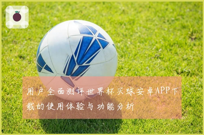 用户全面测评世界杯买球安卓APP下载的使用体验与功能分析